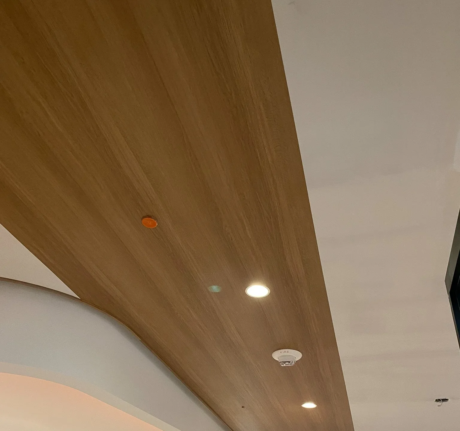 Curved wood-grain architectural film wrapping a ceiling soffit, installed by Wrap Trap, photographed on site during the build