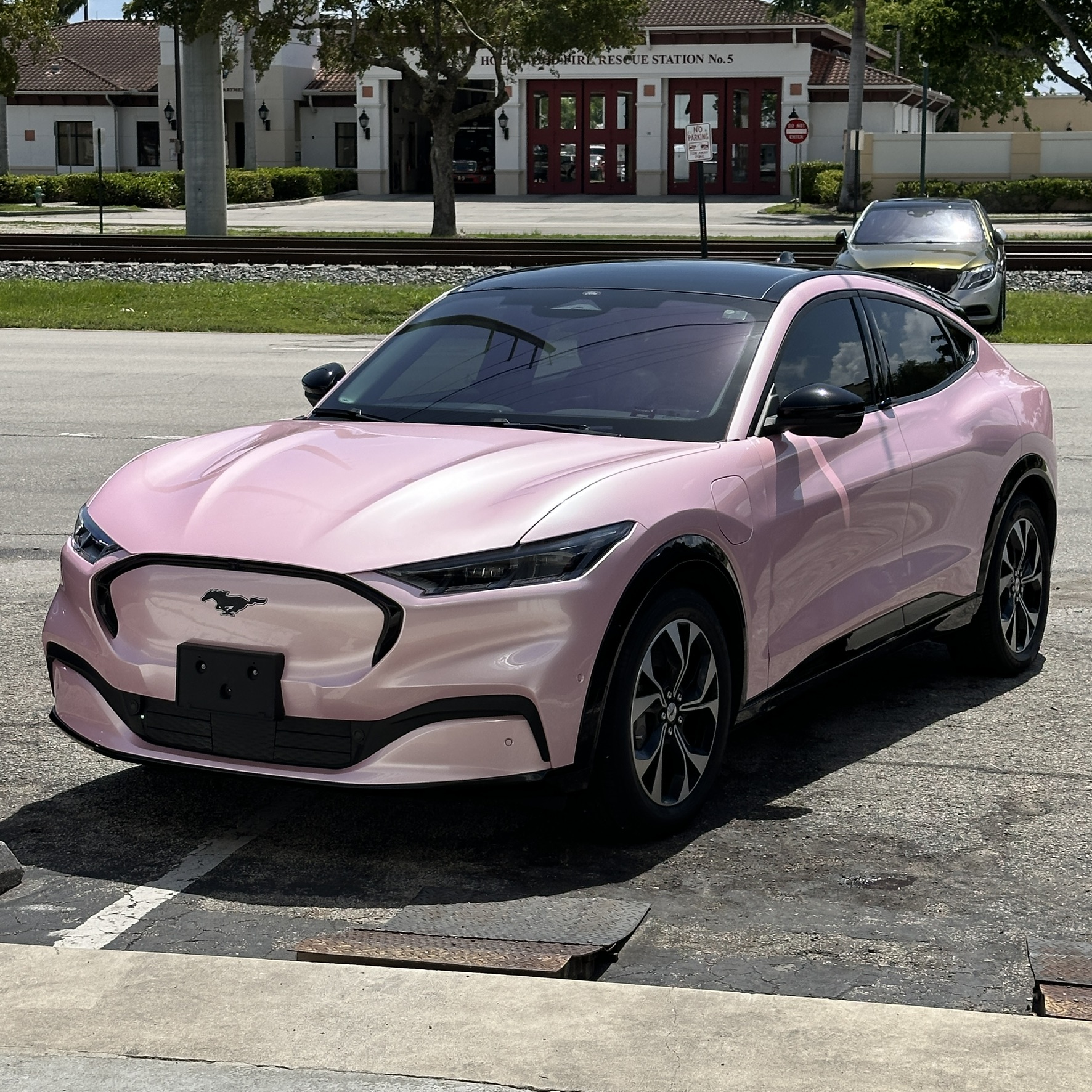 High Gloss Pink Sakura