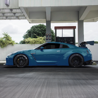 Swimming with the Fishes colored PPF — Gloss finish